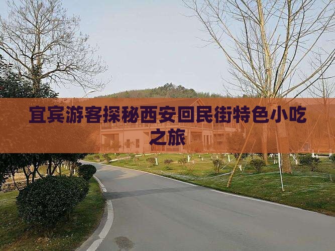 宜宾游客探秘西安回民街特色小吃之旅