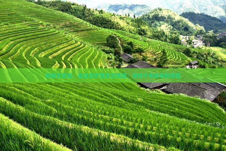 探秘五家渠，自由漫步西安古城墙，寻找千年故事的旅程