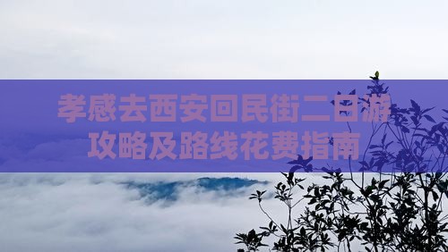 孝感去西安回民街二日游攻略及路线花费指南