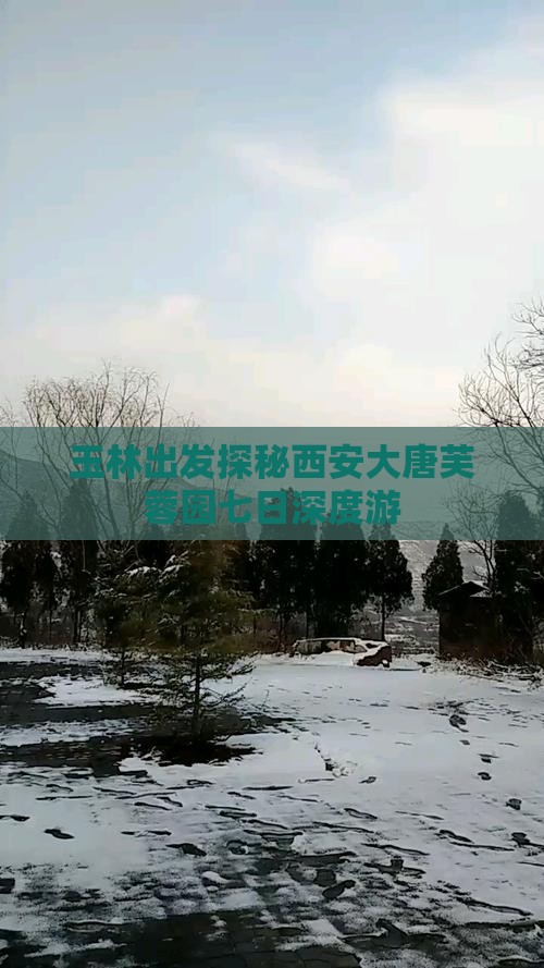 玉林出发探秘西安大唐芙蓉园七日深度游