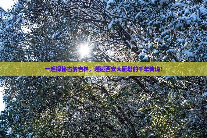 一起探秘古韵吉林，邂逅西安大雁塔的千年传说！