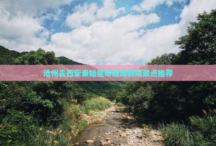 沧州去西安秦始皇帝陵博物院景点推荐