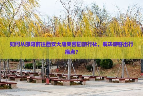 如何从邵阳前往西安大唐芙蓉园旅行社，解决游客出行痛点？