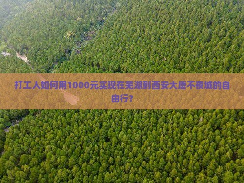 打工人如何用1000元实现在芜湖到西安大唐不夜城的自由行？