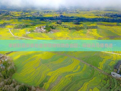 孝感到西安秦始皇帝陵博物院自由团：探秘兵马俑奇迹