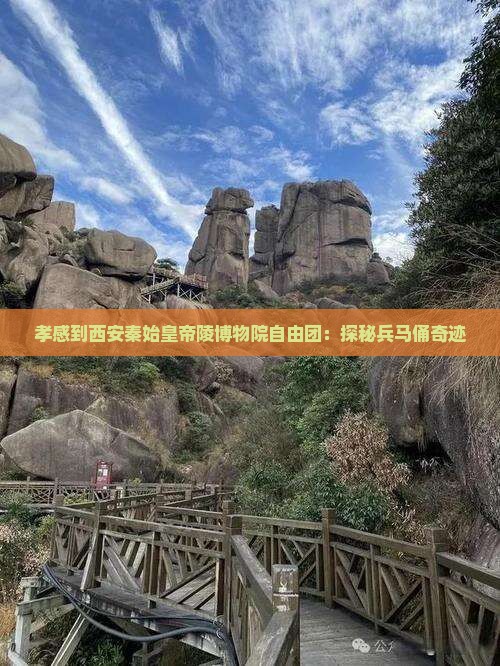 孝感到西安秦始皇帝陵博物院自由团：探秘兵马俑奇迹