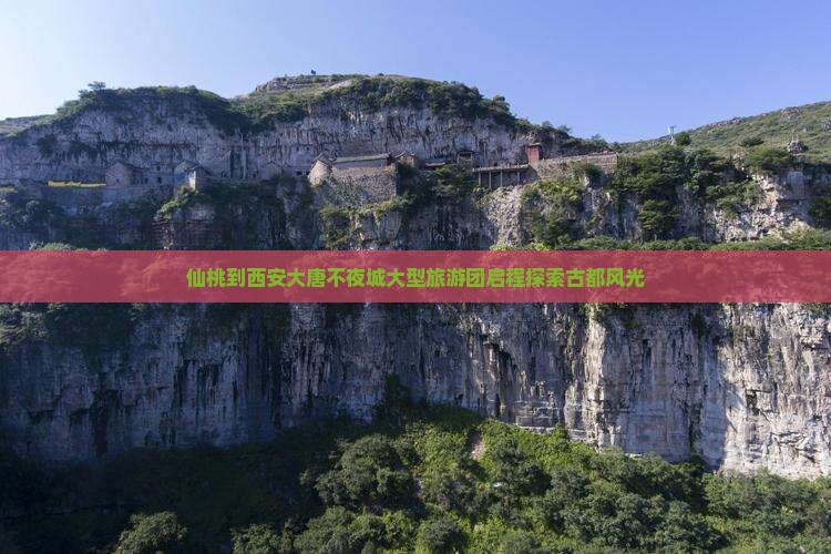 仙桃到西安大唐不夜城大型旅游团启程探索古都风光