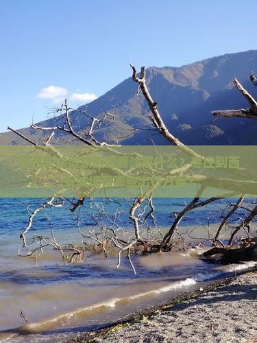 去西安城墙旅游需要注意什么？枣庄到西安城墙有哪些出行方案？