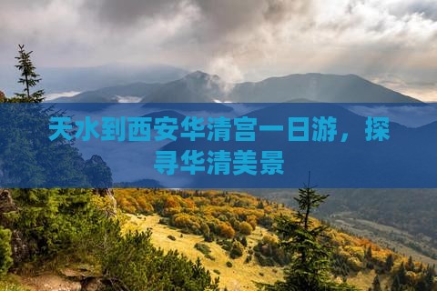 天水到西安华清宫一日游，探寻华清美景
