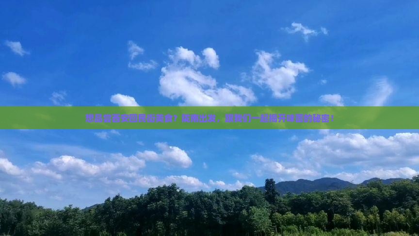 想品尝西安回民街美食？陇南出发，跟我们一起揭开味蕾的秘密！