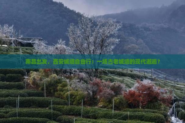 南昌出发，西安城墙自由行：一场古老城墙的现代邂逅？