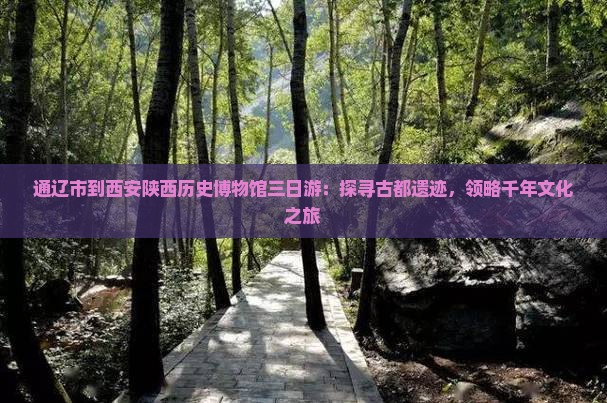 通辽市到西安陕西历史博物馆三日游：探寻古都遗迹，领略千年文化之旅