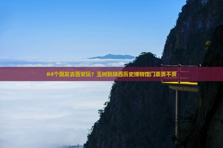 #4个朋友去西安玩？玉树到陕西历史博物馆门票贵不贵
