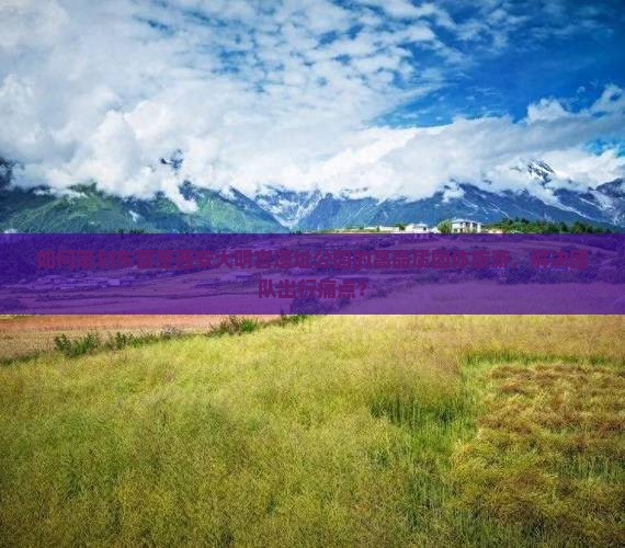 如何策划东营至西安大明宫遗址公园的高品质团体旅游，解决团队出行痛点？