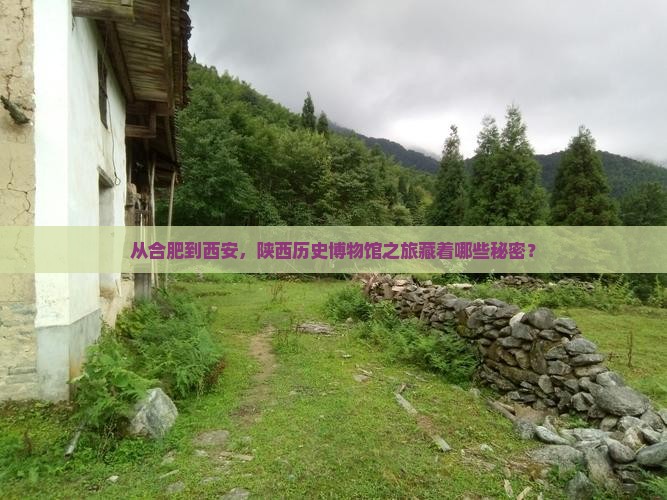 从合肥到西安，陕西历史博物馆之旅藏着哪些秘密？