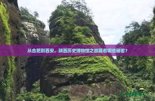 从合肥到西安，陕西历史博物馆之旅藏着哪些秘密？