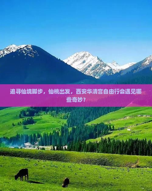追寻仙境脚步，仙桃出发，西安华清宫自由行会遇见哪些奇妙？