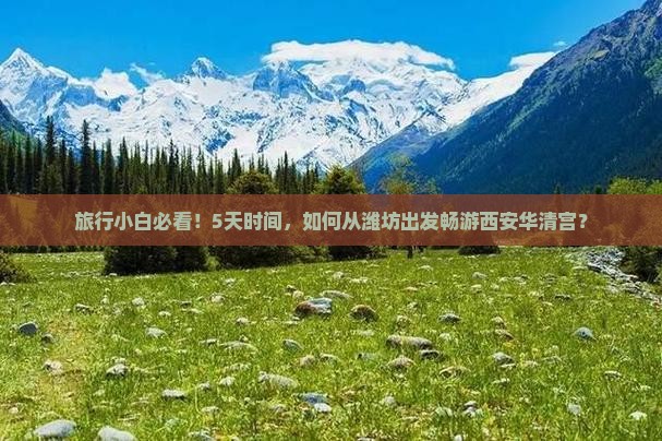 旅行小白必看！5天时间，如何从潍坊出发畅游西安华清宫？