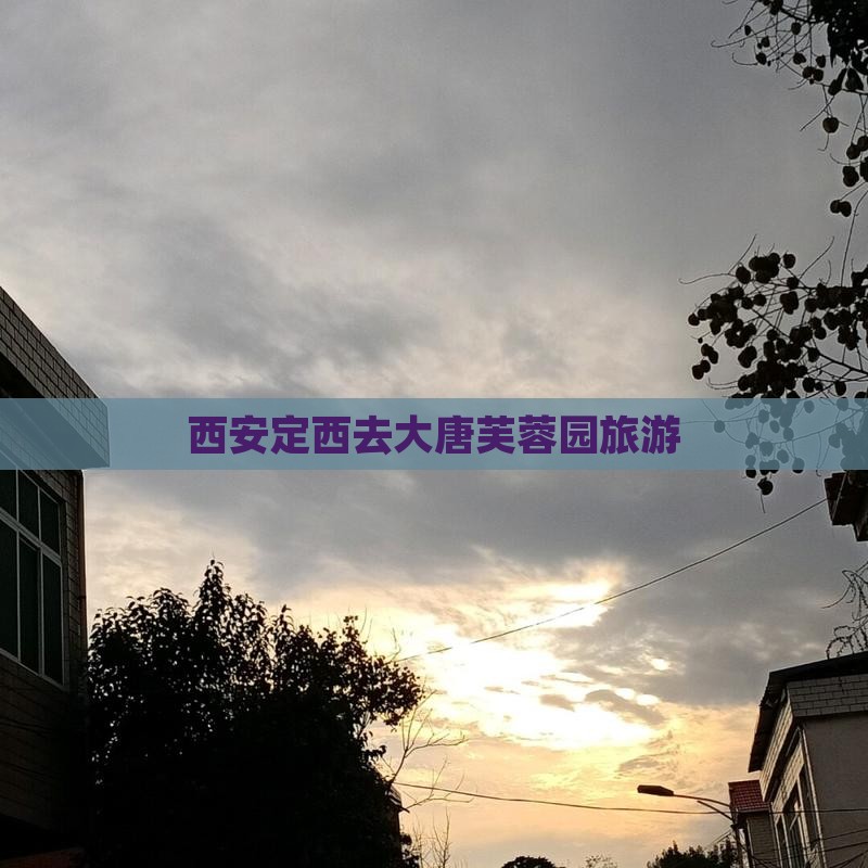 西安定西去大唐芙蓉园旅游