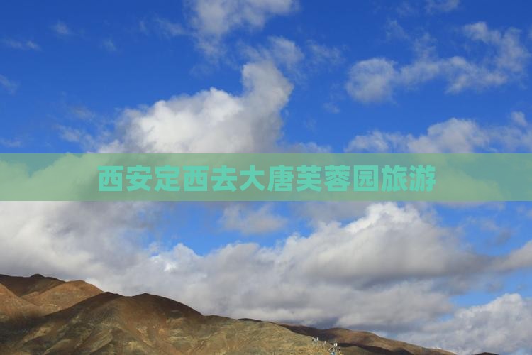 西安定西去大唐芙蓉园旅游