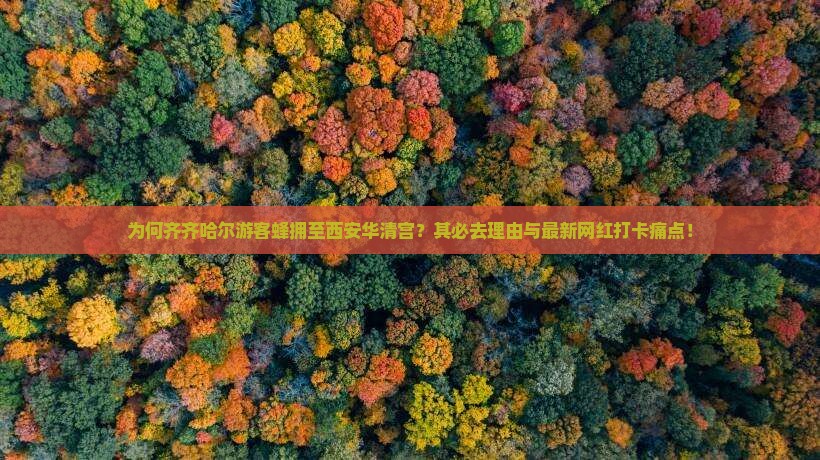 为何齐齐哈尔游客蜂拥至西安华清宫？其必去理由与最新网红打卡痛点！