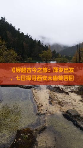 《穿越古今之旅：萍乡出发，七日探寻西安大唐芙蓉园的盛世风华》