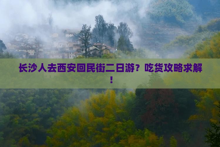 长沙人去西安回民街二日游？吃货攻略求解！