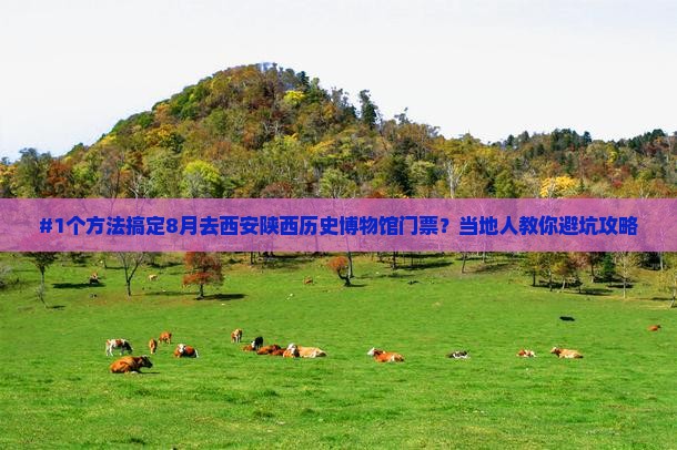 #1个方法搞定8月去西安陕西历史博物馆门票？当地人教你避坑攻略