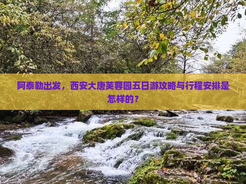 阿泰勒出发，西安大唐芙蓉园五日游攻略与行程安排是怎样的？