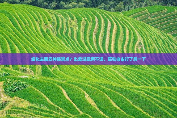 绥化去西安钟楼景点？出差游玩两不误，高铁自由行了解一下