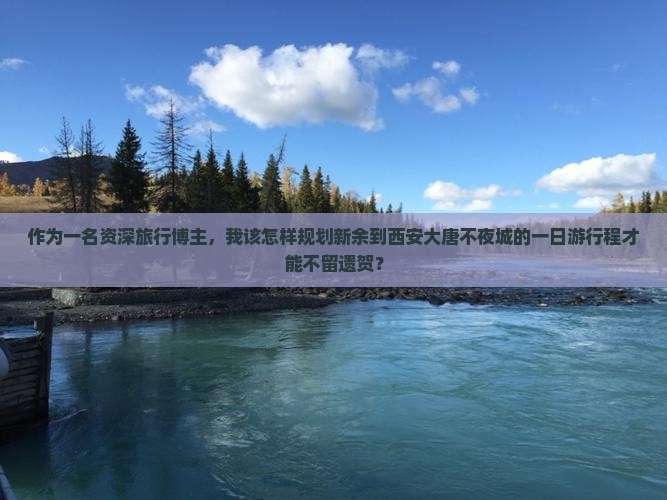 作为一名资深旅行博主，我该怎样规划新余到西安大唐不夜城的一日游行程才能不留遗贺？