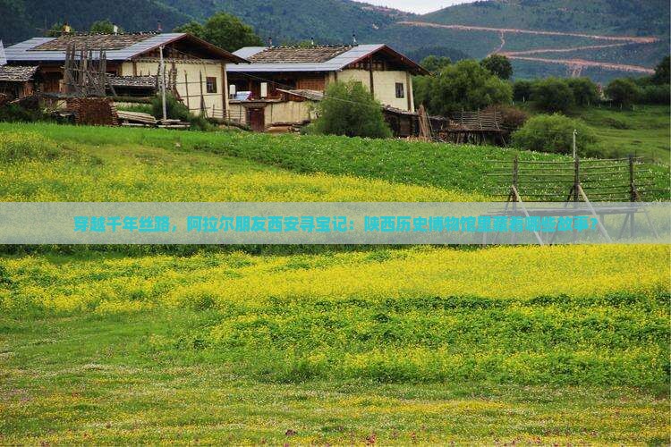 穿越千年丝路，阿拉尔朋友西安寻宝记：陕西历史博物馆里藏着哪些故事？