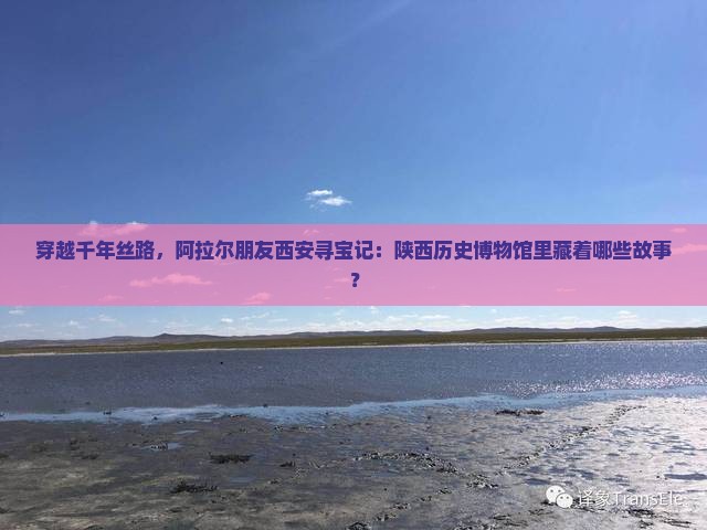 穿越千年丝路，阿拉尔朋友西安寻宝记：陕西历史博物馆里藏着哪些故事？