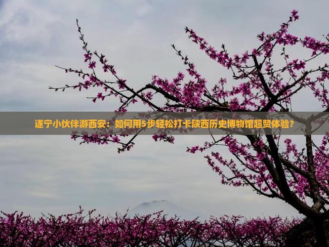 遂宁小伙伴游西安：如何用5步轻松打卡陕西历史博物馆超赞体验？