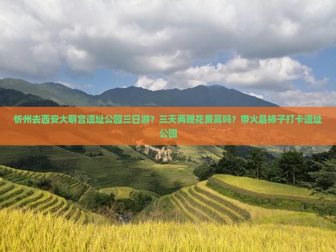忻州去西安大明宫遗址公园三日游？三天两晚花费高吗？带火晶柿子打卡遗址公园