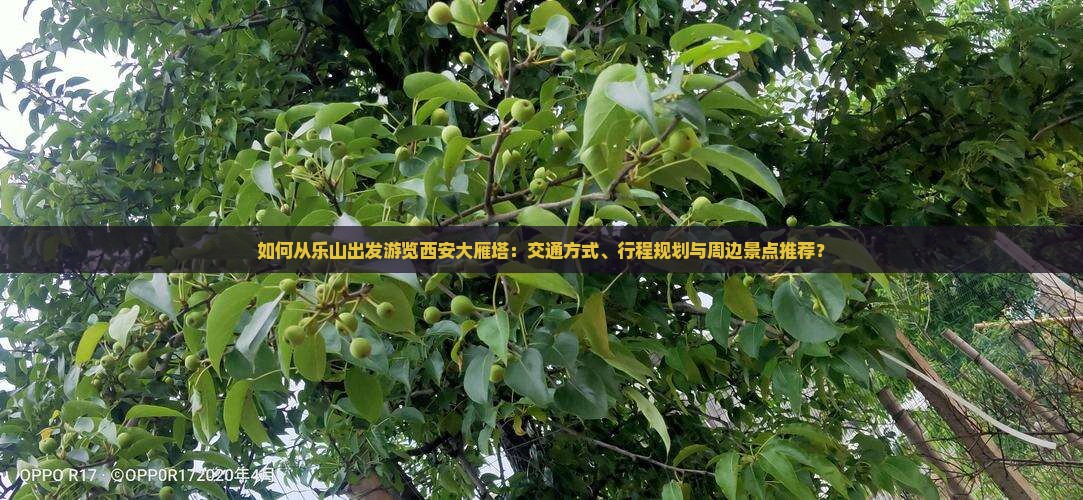 如何从乐山出发游览西安大雁塔：交通方式、行程规划与周边景点推荐？