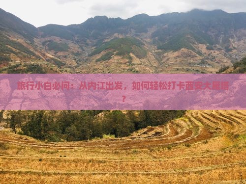 旅行小白必问：从内江出发，如何轻松打卡西安大雁塔？