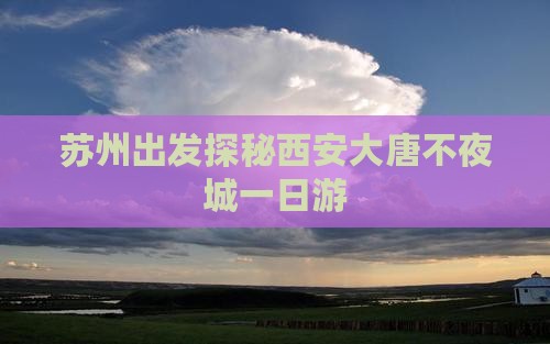 苏州出发探秘西安大唐不夜城一日游
