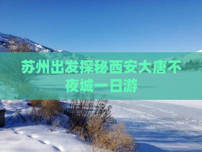 苏州出发探秘西安大唐不夜城一日游