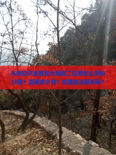 从海拉尔去西安大雁塔二日游怎么安排行程？需要多少钱？有哪些注意事项？