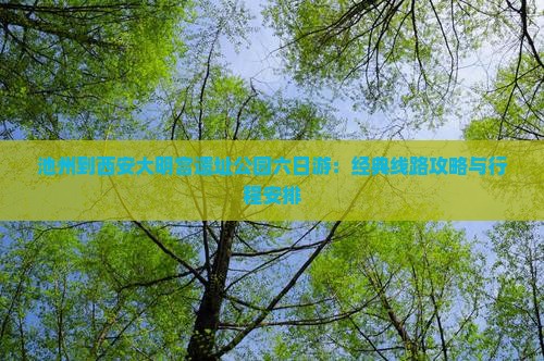 池州到西安大明宫遗址公园六日游：经典线路攻略与行程安排
