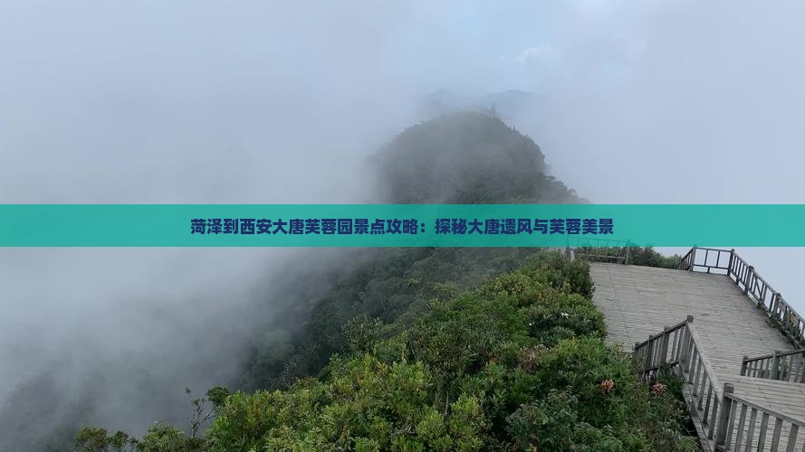 菏泽到西安大唐芙蓉园景点攻略：探秘大唐遗风与芙蓉美景