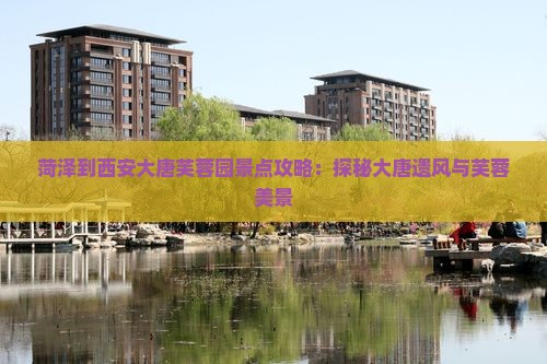 菏泽到西安大唐芙蓉园景点攻略：探秘大唐遗风与芙蓉美景