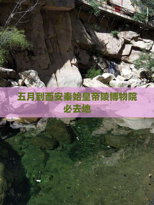 五月到西安秦始皇帝陵博物院必去地