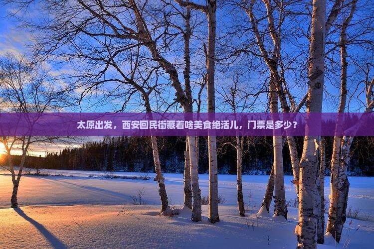 太原出发，西安回民街藏着啥美食绝活儿，门票是多少？