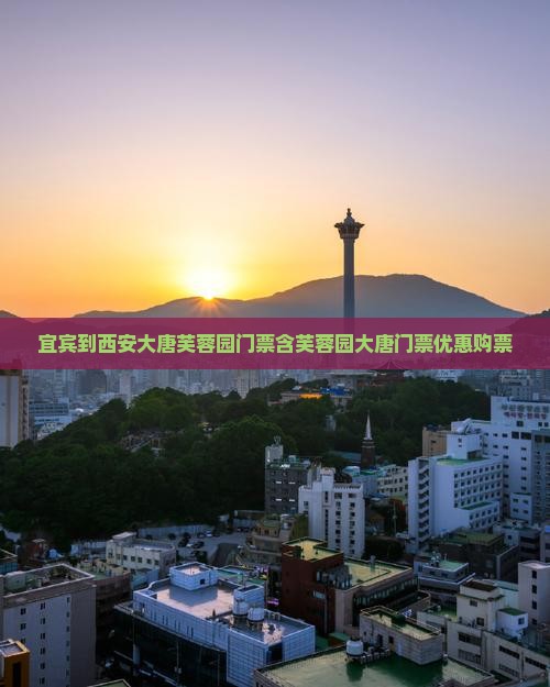 宜宾到西安大唐芙蓉园门票含芙蓉园大唐门票优惠购票