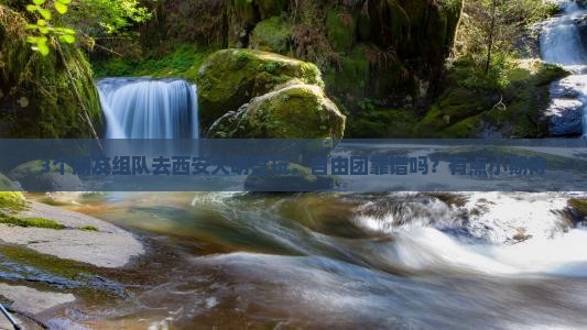 3个朋友组队去西安大明宫玩，自由团靠谱吗？有点小期待