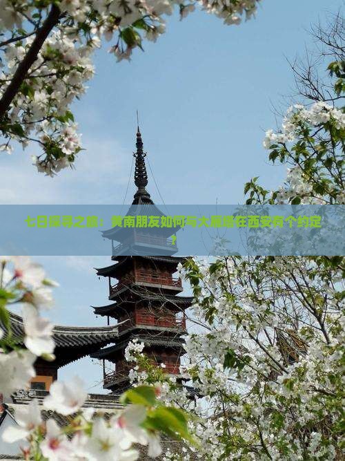 七日探寻之旅：黄南朋友如何与大雁塔在西安有个约定？