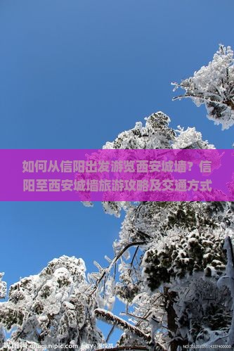 如何从信阳出发游览西安城墙？信阳至西安城墙旅游攻略及交通方式解析