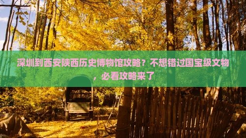 深圳到西安陕西历史博物馆攻略？不想错过国宝级文物，必看攻略来了